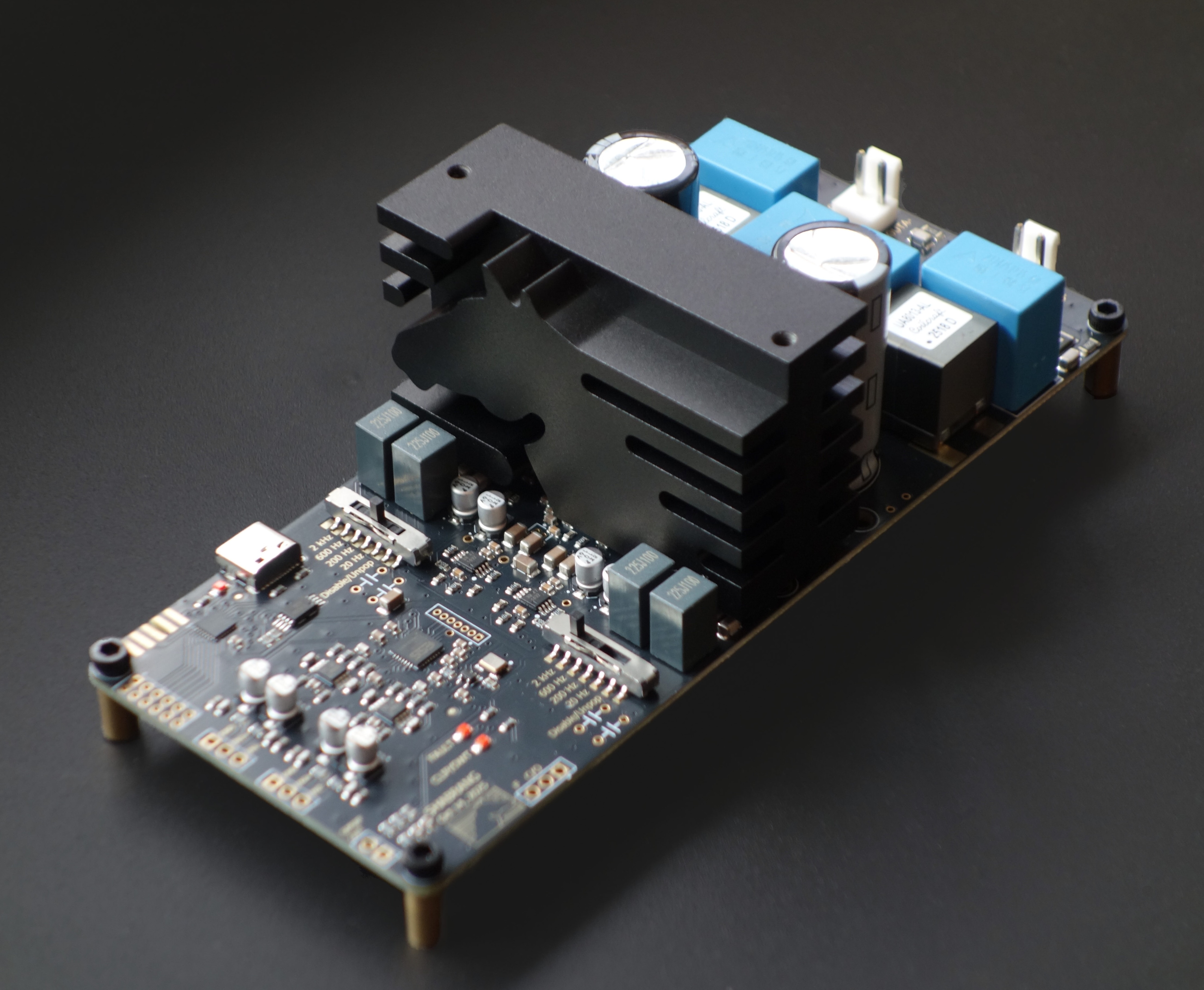 Black Horse Audio amplifier module